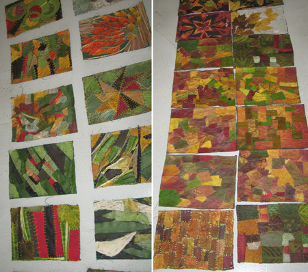 20111005_floristinis_kilimas_08