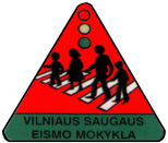vsem logo