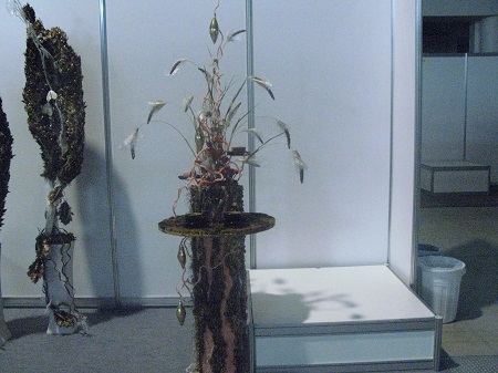 IMG 2685
