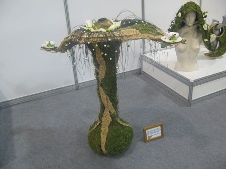 IMG 2764