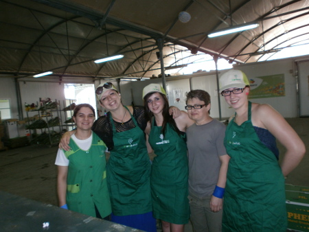P7040020