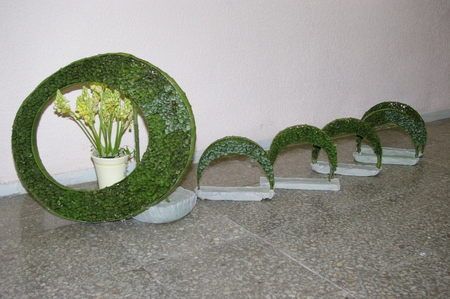 Floristai 3