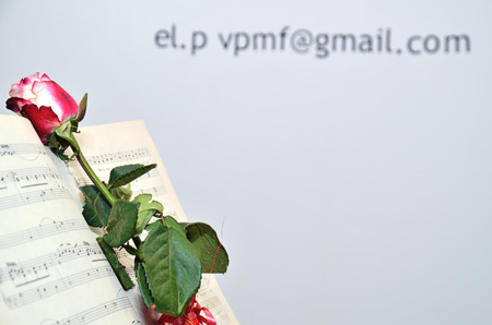 vpmf_alytus2011_05